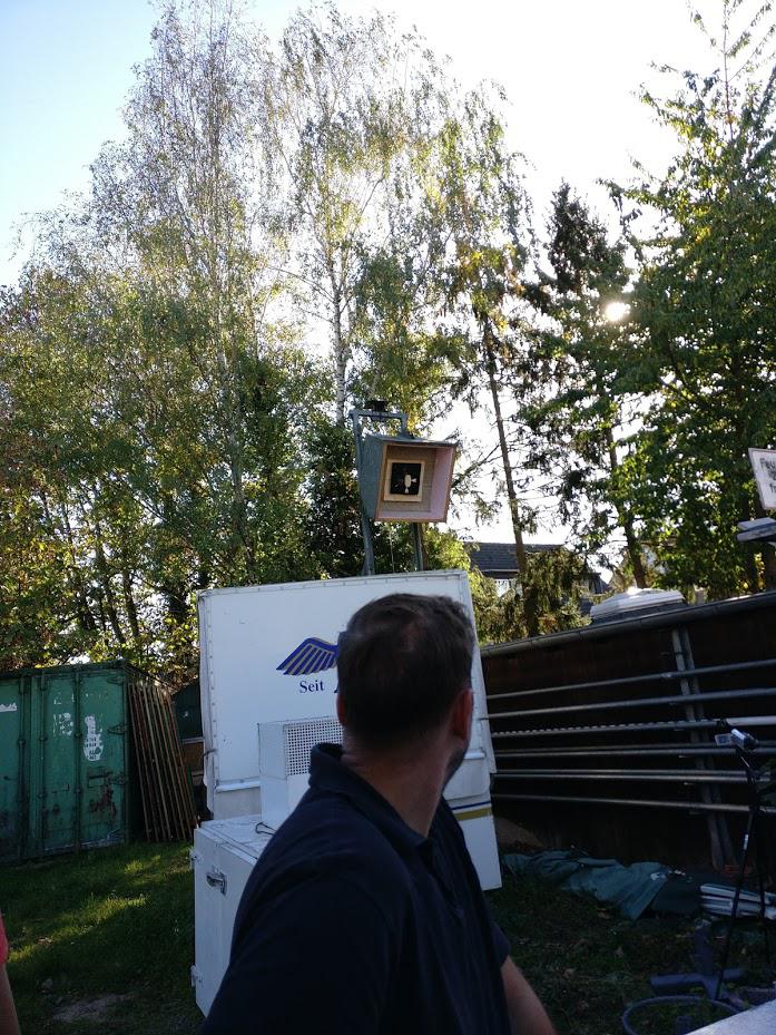 Der Königsvogel und der Hinterkopf von Thomas Baumann